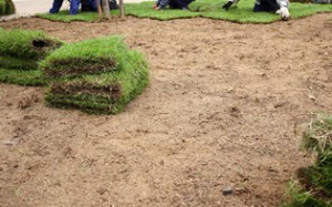 Sod Installation