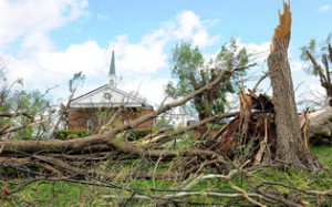 Storm Hurricane Cleanup