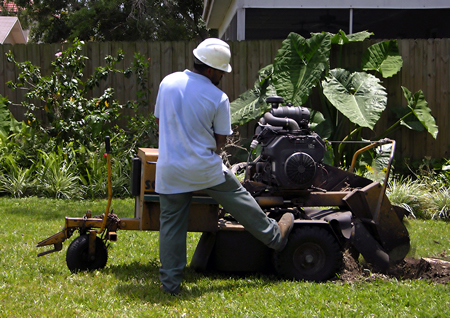 Stump Grinding