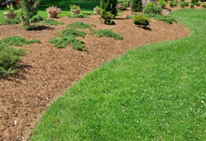 Mulch